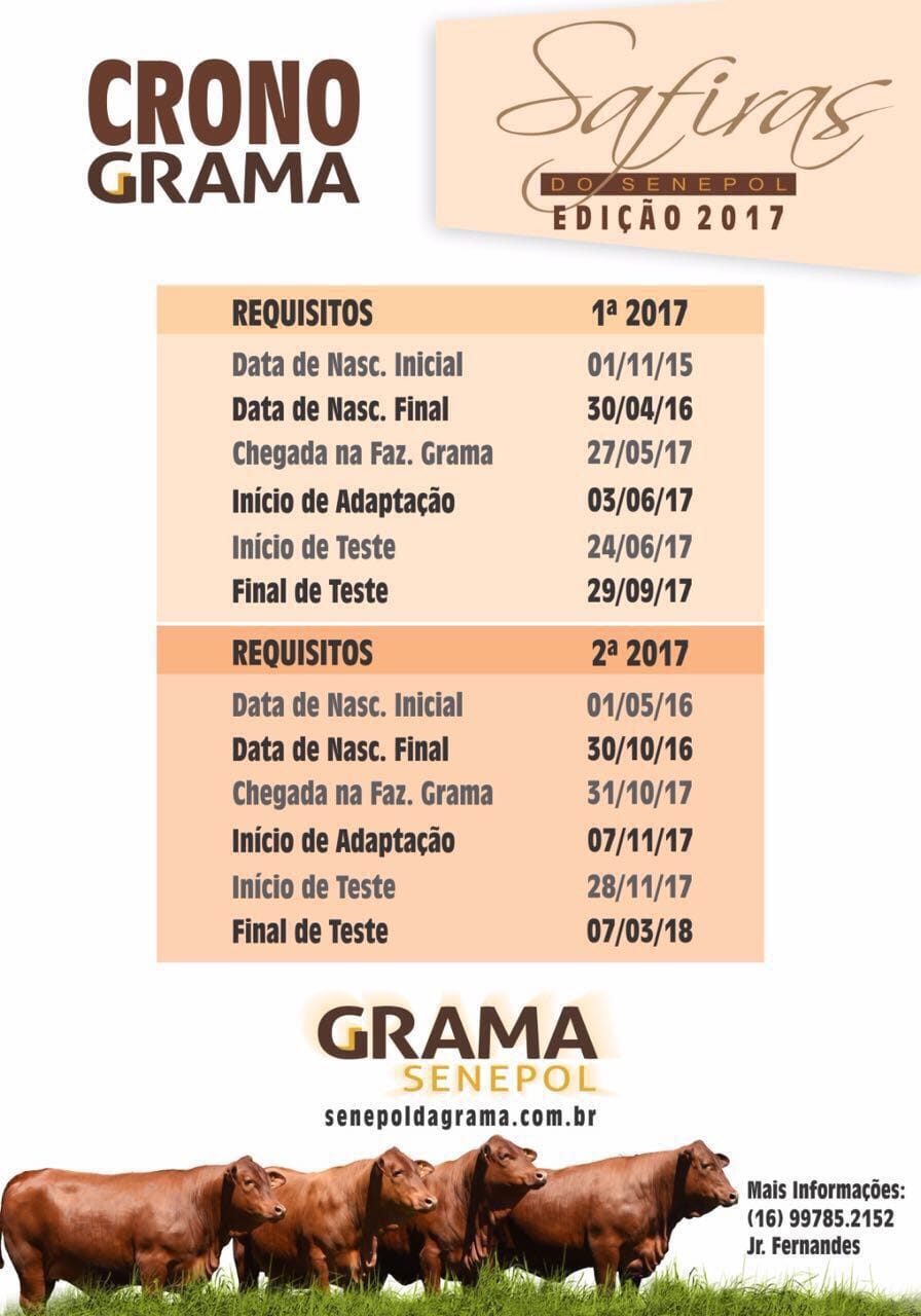 Banner Convocação Safiras