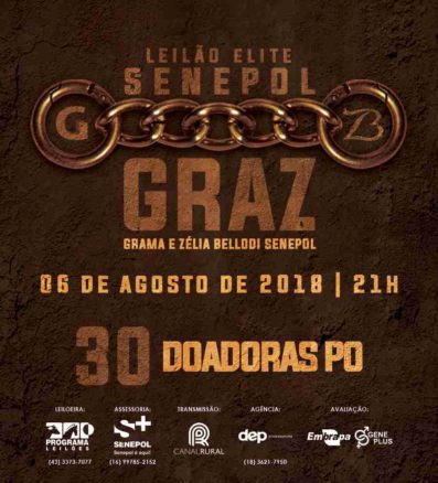 Leila-Elite-GRAZ-Whats