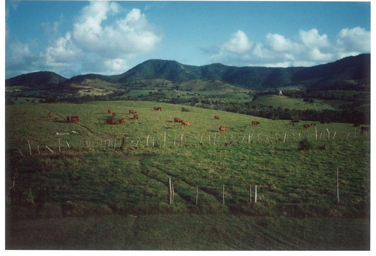 Ward Canaday levou a Annaly Farm para continuar sua história com o